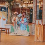 BTM Brasília VOENEWS (32)