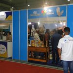 Expo Turismo Goiás (37)